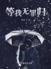 我无罪也我蛮夷也