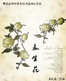 永生花是什么意思