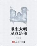 重生 我是大明星