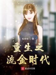 重生之流金时代